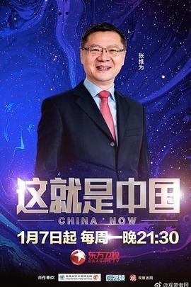 谷歌seo模板程序是什么